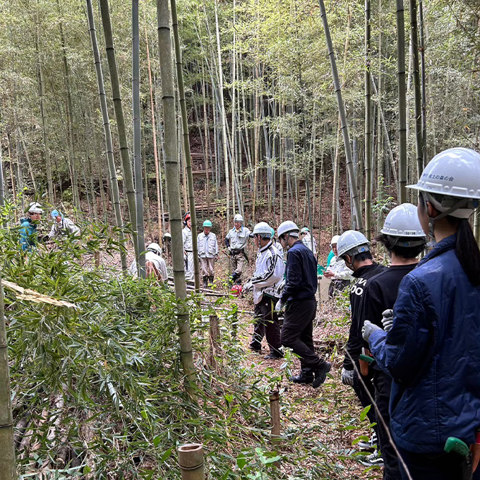 作業する竹林